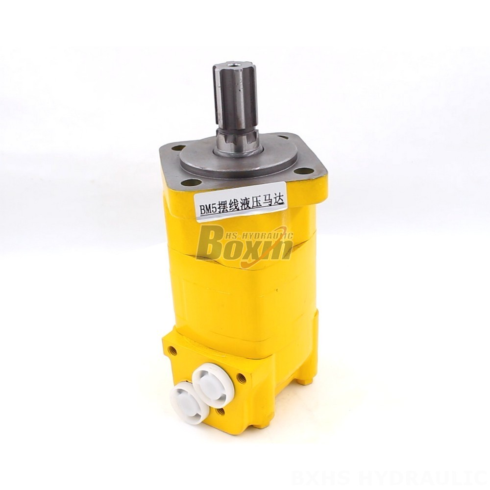 BM5 Cycloid Hydraulic Motor: OEM/ODM Services Available cover photo